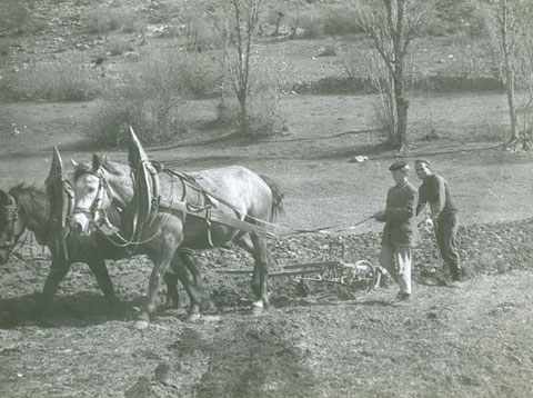 Skarabej - two of us